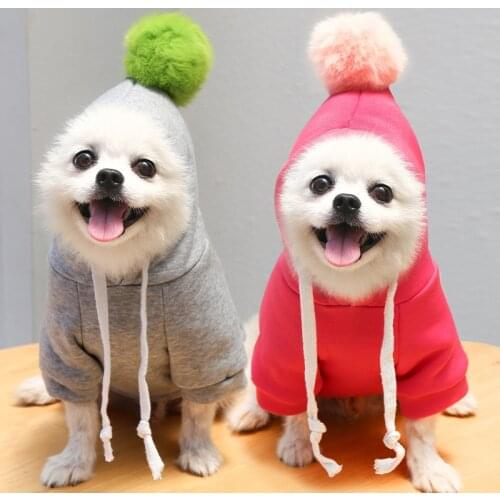 Winter Warm Cat Dog Hooded Coat Soft Pet Clothes for Small Dogs Cats Yorkshire Chihuahua Pullovers Pets Clothing