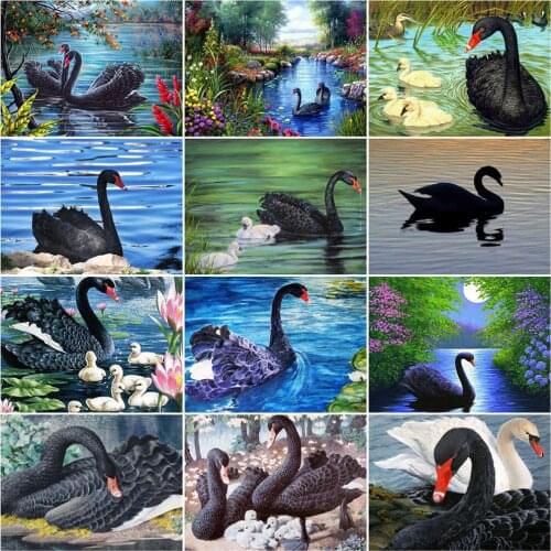 HUACAN Oil Painting By Numbers Swan Animal Drawing On Canvas Pictures By Numbers Animal Modern Wall Art