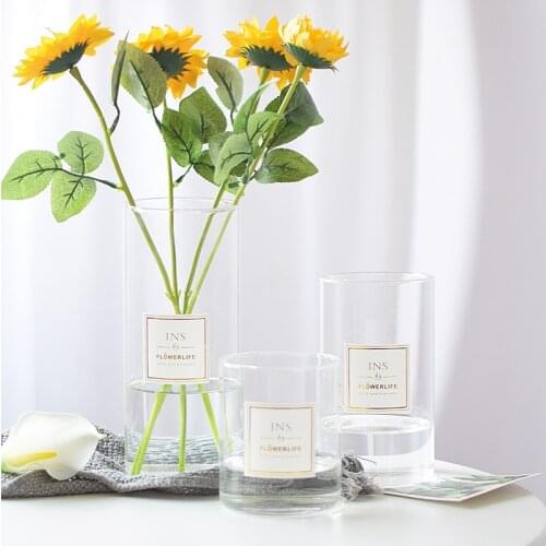 Transparent Glass Vase Home Deco Hydroponic Plant Glass Bottle Living Room Decoration Dried Flower Decoration Flower Vase