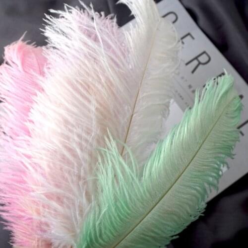 Colorful 20-25cm Ostrich Feathers Crafts Wedding Party Decoration Vestido De Plumas Natural Feather Trim Carnival Accessories