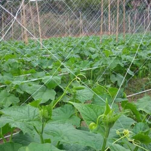 Knotted Nylon Netting 9-Strands Soft Nylon Mesh Anti Mesh Cat fence Crops Garden Fencing Chicken Bird Netting Net Protectiv O4P9