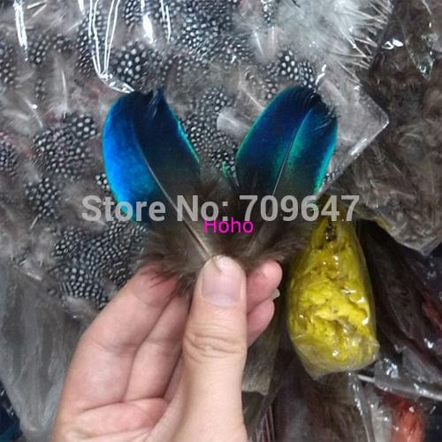 30Pcs/lot!6-9cm long Rare BLUE PEACOCK PLUMAGE WING FEATHERS LOOSE PEACOCK FEATHERS