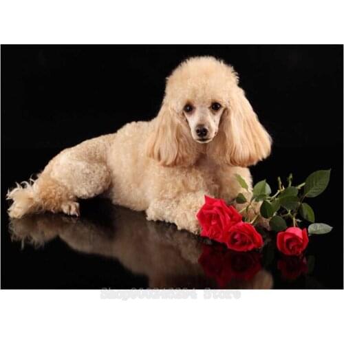 3d Picture DIY Rhinestone Embroidery Diamond Painting Poodle Small pets 5D Cross Stitch mosaic painting home Room Decor FF904