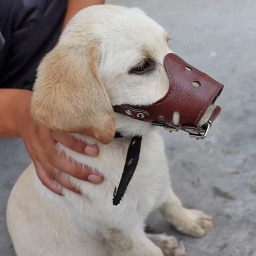 Dog Muzzle Collar For Small Large Pet Adjustable Mouth Anti-bite And Anti-eating Nylon Straps Perros Accesorios Dla Psa Mascotas