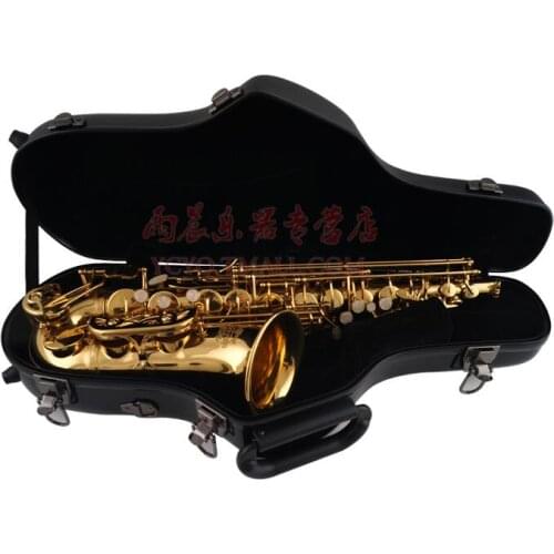 Alto Eb Saxophone Luggage FRP Cassette Box Color Backpack Double Shoulder Suitcase