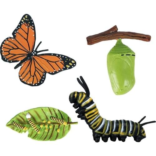 Kids Cognitive Educational Toys Simulation Animal Insect Butterfly Growth Model Mini Animal Butterfly Growth Cycle Ornaments