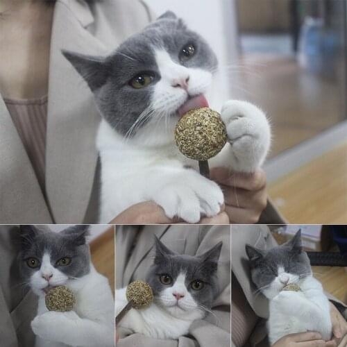 Pet Soft Cats Toys Natural Catnip Ball Chewing Teeth Cleaning Treats Lollipop Natural Catnip Lollipop Shape Ball Cats Products