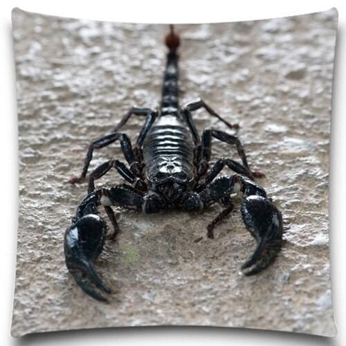 Black Scorpion Spider Square Cushion Covers Insect Blue Yellow Throw Pillows Cover for Home car sofa Decor 16 18 20 inches