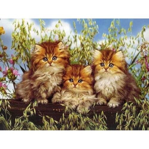 Full Square Diamond 5D DIY Diamond Painting "Three cats" Embroidery Cross Stitch Rhinestone Mosaic Painting Home Decor Gift