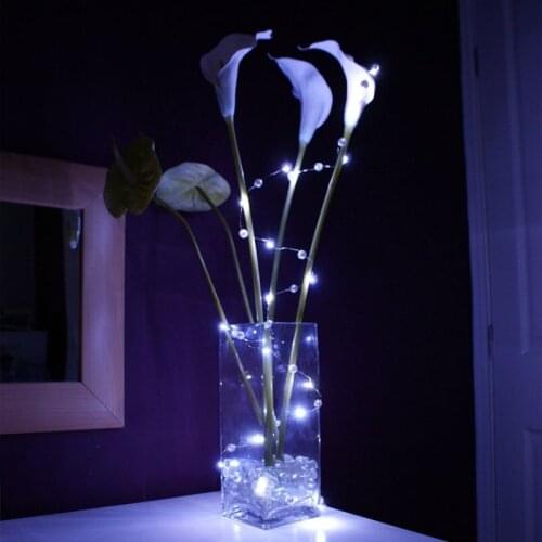 Sale CR2032 Coin Battery operated White led vine lights Wedding Decor LED String Light Long Lasting Batteries mini led lights