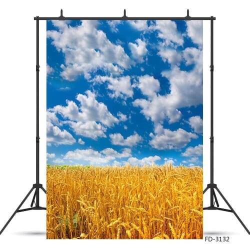 Blue sky and white clouds field background, model, advertisement, live broadcast, childrens photo background