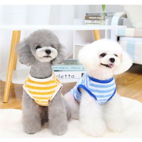 Dog Clothes New Autumn and Winter Small Dog Cat Pet Arctic Fleece Polar Fleece Two-legged Sweater Dog Costumes