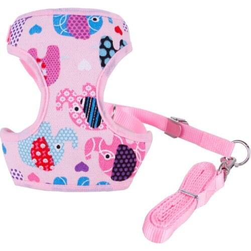New Arrival Dog Accessories Leads Harness Sets Nylon Line Leads For Dog Trainning Walking Free Shipping