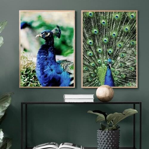 Peacock Bird Feather Love Quote Animal Wall Art Canvas Painting Nordic Posters And Prints Pictures For Living Room Home Decor