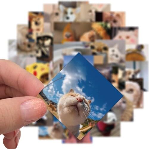 HOT 48 PCS Kawaii Cats Dogs Emoticon Stickers for Car Styling Bike Motorcycle Phone Skateboard Laptop Travel Luggage JDM Decal
