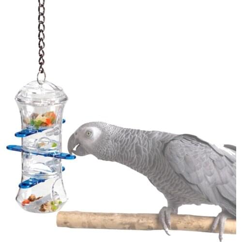 CAITEC Toothpick Stands