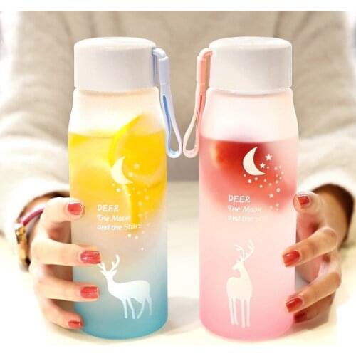 Water Bottle Leak Proof for Girl Biking Travel Portable Water Bottles Plastic Creative Animal Drinking Cup Gradient Frosted Cup