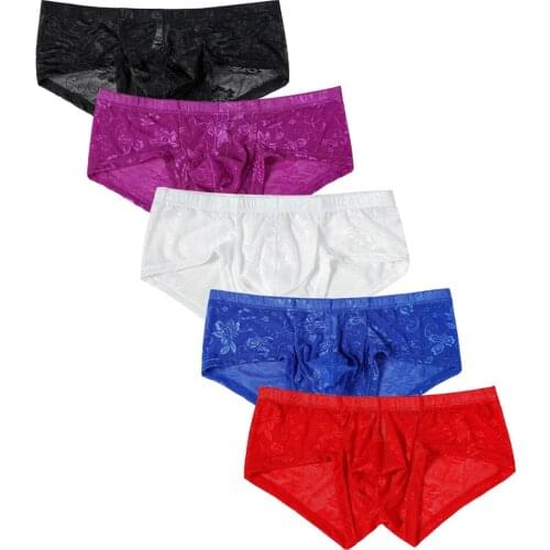 5Pcs/ lot New Sexy Boxer Panties Lace Prints Mesh Transparent Breathable Low-rise Boxershorts Men M L XL 2XL