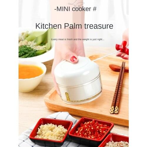 Mini Hand-Pulled Meshed Garlic Device Stainless Steel Garlic Press Garlic Press Chopper Kitchen Utensils