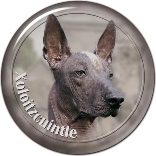 A0635# 13cm/17cm Removable Decal Xoloitzcuintle Breed Dog Car Sticker Waterproof Accessories on Bumper Rear Window Laptop Toilet