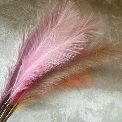 7 Frok Pampas Feather Phoenix Tail Wedding Fluff, Maidenhair Road Guide, Decorative Reed Fake Feather