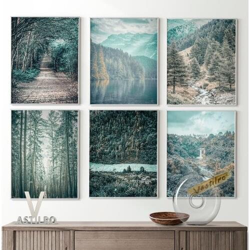 Native Element Nature Photography Exhibition Poster Forest Scenery River Landscape Canvas Painting Travel Lovers Gift Home Decor