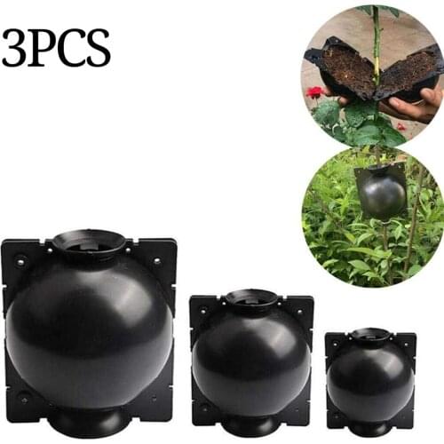 3pcs Plant Rooting Sphere Graft Rooting Growing Box Breeding Crate for Garden Plants
