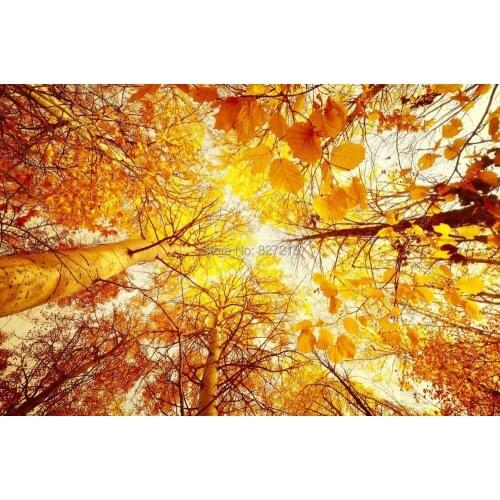 T-2787 Maple Tree Printing Stretch Ceiling Film new fashional plastic ceiling material