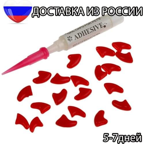 Носки для собак FOSKA China At AliExpress