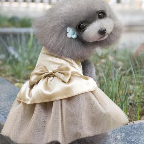 Spring Summer Dog Clothes Cat Puppy Skirt Small Dog Costume Yorkie Chihuahua Clothing Poodle Pomeranian Pet Dog Wedding Dress