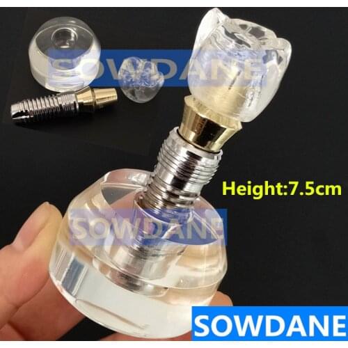 Dental Implant Demonstration Model Teeth Study Teach Model Communication Transparent 7.5CM