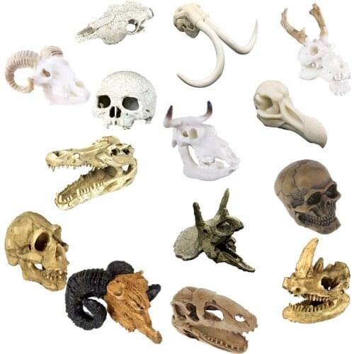 Reptile Terrarium Vivarium Ornament Decor Snake Hide Cave Skull Head