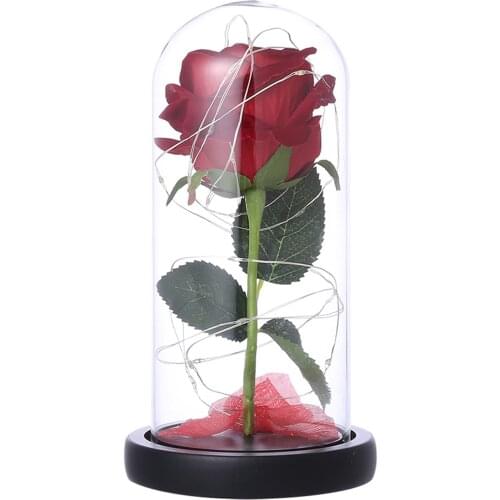 Beauty And The Beast Rose Kit With Led Light Enchanted Glass Rose For Mothers Day ValentineS Day Birthday Party
