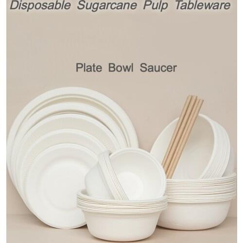 Disposable Tableware Paper Bowl Sugarcane Pulp Material Thick And Durable Can Hold Hot Food Environmentally Friendly Paper Plate