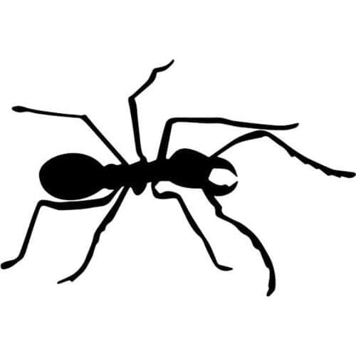 15.3CM*10.2CM Cartoon Ant Car Door Pattern Vinyl Decal Decor Car Stickers