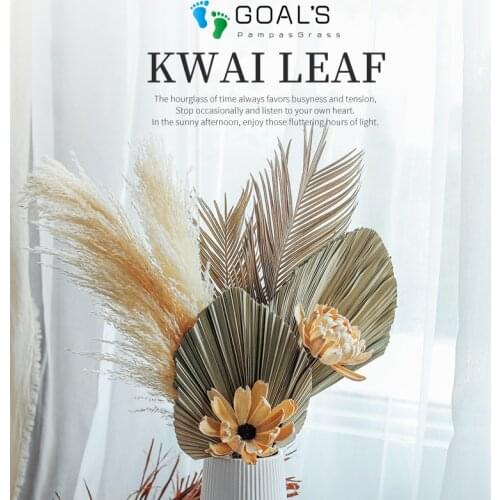 1 Stems Dried sago cycas leaves Kwai leaf Dried Flower Home Decoration Wedding decor Office Decoration