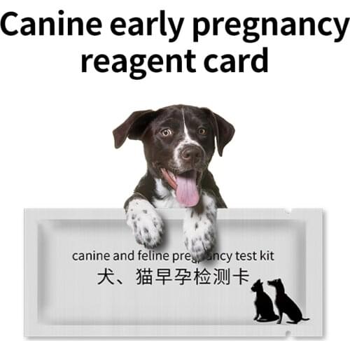 3 Pcs PET Pregnancy Test Strip Dog Cat Pregnancy Test Card Canine Feline Pregnancy Tester Kit Pets Supplies PET Hospital Dog NEW