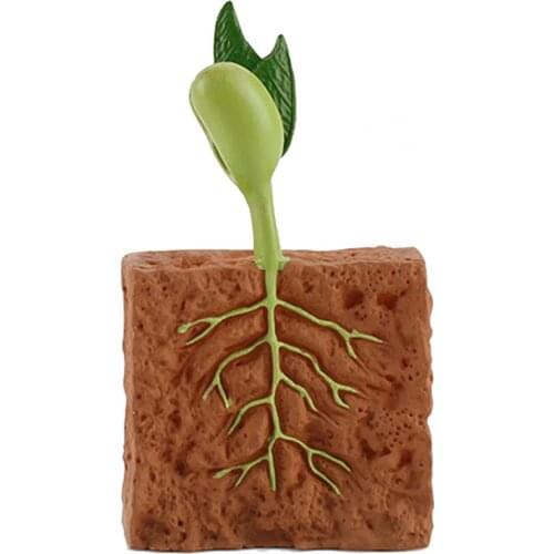 4Pcs Plants Grown Toy Simulation Educational PVC Plant Growth Cycle Model for Home Plant Growth Cycle Model Plants Grown Toy