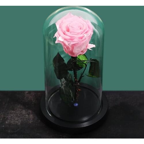 Beauty and the Beast Red Rose in a Glass Dome for Valentines Mothers Day Gifts Romanti Forever Rose Flower Immortal Fresh Rose
