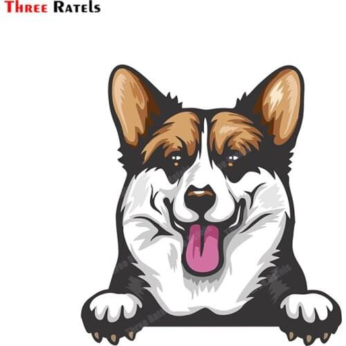 Three Ratels A426 PEMBROKE WELSH CORGI PEEKING Anime Cartoon Sticker For Car-Styling Waterproof Protected Auto Decal