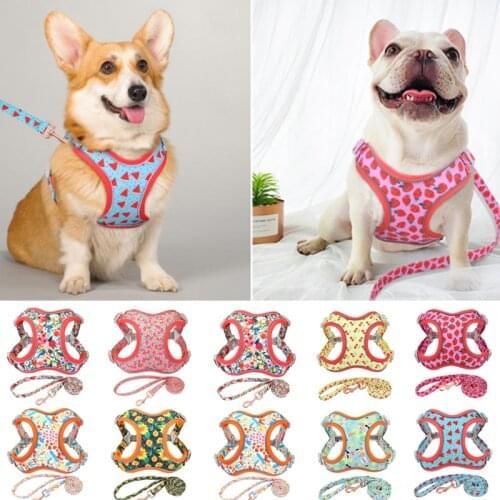 Flower Print Dog Harness Leash Reflective Pet Puppy Harness Vest Leash Adjustable for Small Medium Large Dogs Chihuahua Bulldog