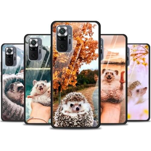 Cute Hedgehog Outing Tempered Glass Cover For Xiaomi Redmi Note 10 10S 9 9T 9S 8T 8 9A 9C 8A 7 Pro Max Phone Case