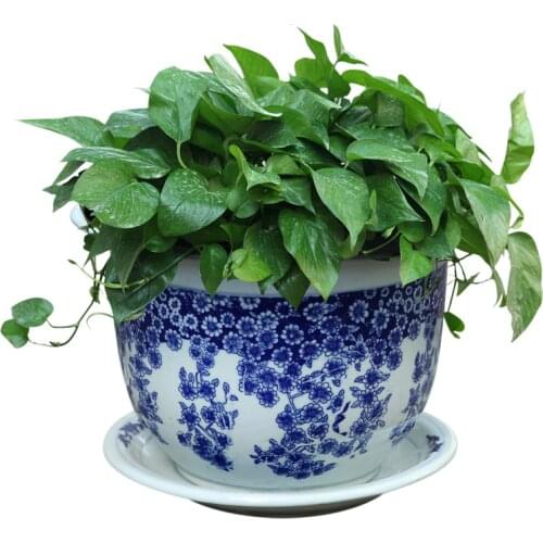 Jingdezhen Ceramic Blue And White Porcelain Flower Pots Bonsai Basin With Bases Various Specifications
