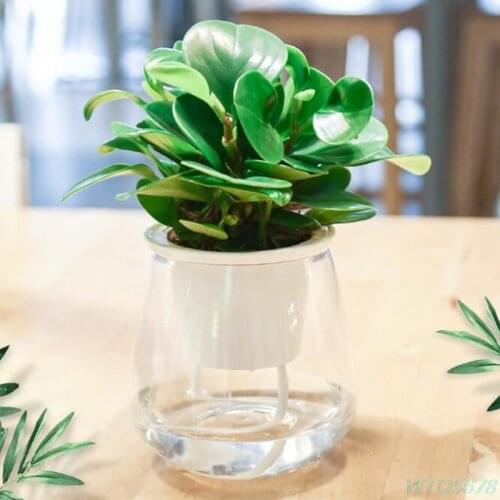 Automatic Watering Flowerpot Transparent Water Storage Plastic Flowerpot Fashion minimalist small flower pot