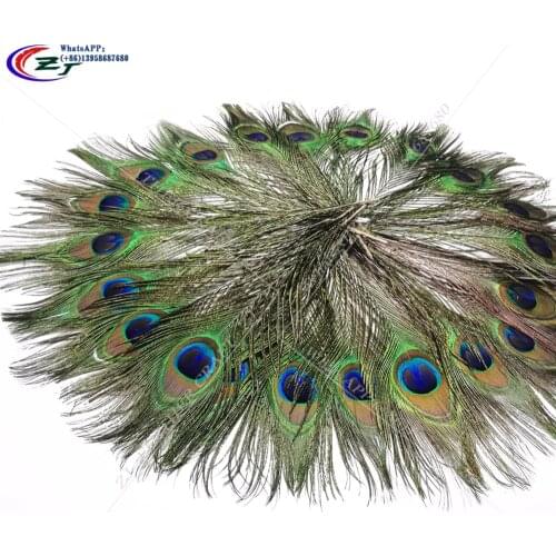 10PCS Natural Peacock Feather 23-50cm Clothing Decoration Plumage Crafts Ostrich Peaccok Eye Feather For Party Dress/DIY Craft
