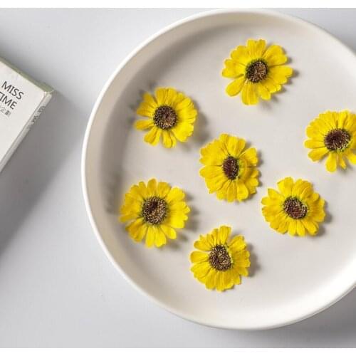 60pcs 2.5-4cm Pressed Dried Yellow Flower Plants Herbarium For Epoxy Resin Jewelry Making Face Makeup Nail Art Craft DIY