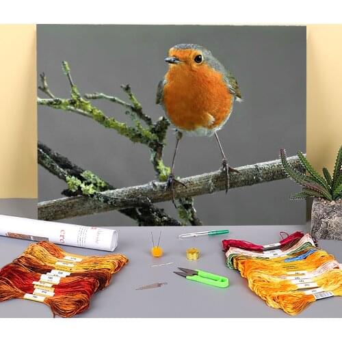 Bird Animal Printed Canvas 11CT Cross-Stitch Full Kit DIY Embroidery DMC Threads Craft Handmade Handicraft Hobby Different