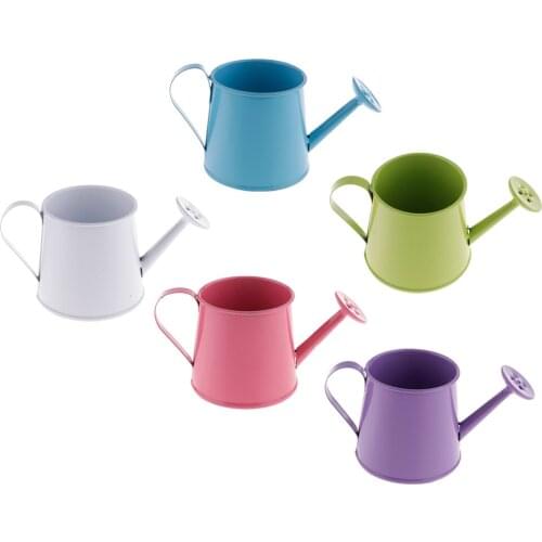 5Pcs Mini Pastoral Metal Iron Retro Flower Watering Pot Flower Barrel Succulent Plant Flowerpots for Home Garden Balcony Decor