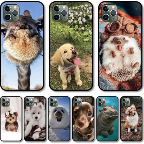 Cute animals Phone Case cover For iphone 12 pro max 11 8 7 6 s XR PLUS X XS SE 2020 mini black cell shell