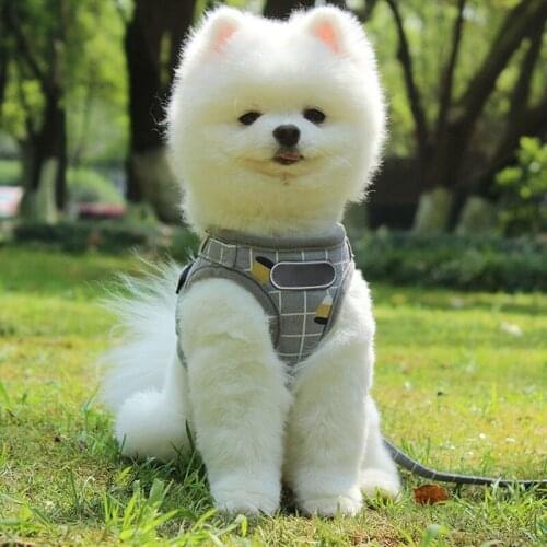 Reflective Dog Cat Harness Adjustable No Pull Puppy Harnesses Vest Breathable Yorkie Teddy Reflective Walking Lead Leash sets